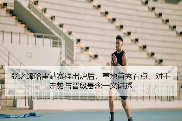 张之臻哈雷站赛程出炉后，草地首秀看点、对手走势与晋级悬念一文讲透